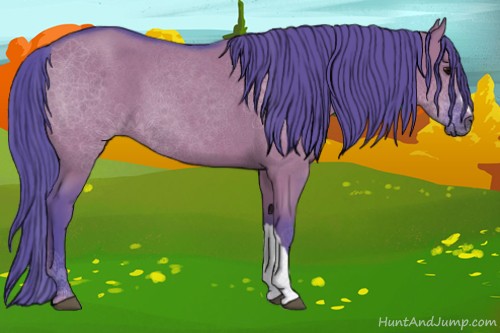 Horse Color:Watercolor Grullo 