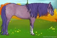 Horse Color:Watercolor Grullo