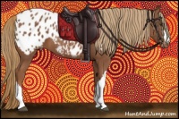 Horse Color:Chestnut Appaloosa 