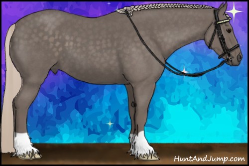 Horse Color:Silver Blue Roan