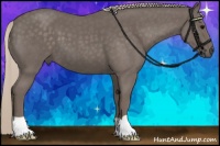 Horse Color:Silver Blue Roan 