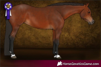 Horse Color:Gray Bay 