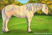 Horse Color:Nacre Palomino 