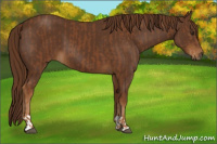 Horse Color:Chestnut and Gray Chestnut