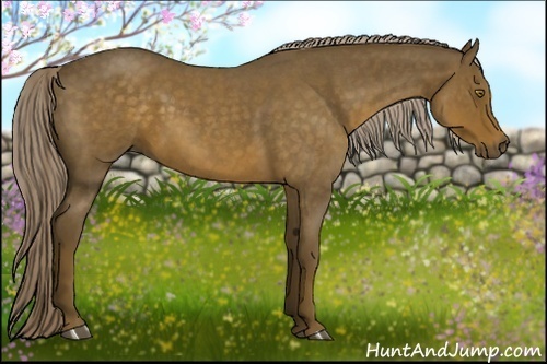 Horse Color:Chocolate Palomino Roan