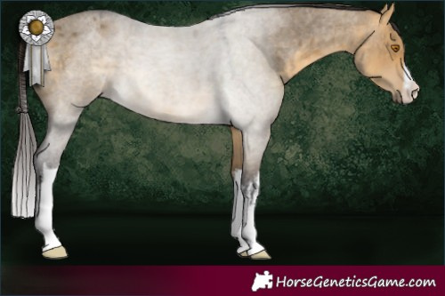 Horse Color:White Spotted Buckskin Roan Dun 