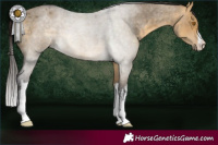 Horse Color:White Spotted Buckskin Roan Dun 