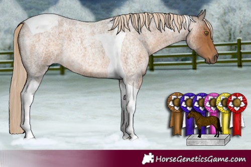 Horse Color:Chocolate Palomino Roan Tobiano 