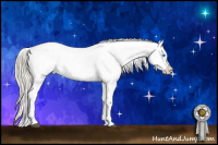 Horse Color:Liver Chestnut Pearl Mushroom Sabino Splash Appaloosa