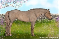 Horse Color:Chocolate Palomino Roan