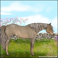 Horse Color:Chocolate Palomino Roan
