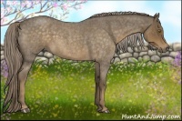 Horse Color:Chocolate Palomino Roan