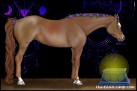 Horse Color:Chestnut Sabino