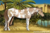 Horse Color:White Spotted Liver Chestnut Pearl 