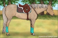 Horse Color:Palomino Roan 