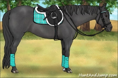 Horse Color:Smoky Blue Roan 