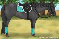 Horse Color:Smoky Blue Roan 