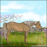 Horse Color:Chocolate Palomino Roan