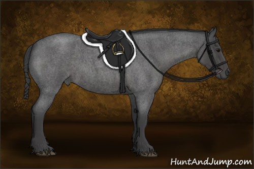 Horse Color:Smoky Blue Roan 