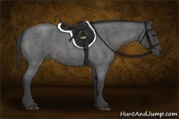 Horse Color:Smoky Blue Roan 