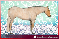 Horse Color:Palomino Roan 