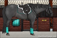 Horse Color:Smoky Blue Roan 