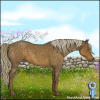 Horse Color:Chocolate Palomino Roan