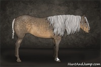 Horse Color:Silver Buckskin Roan 
