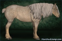 Horse Color:Chocolate Palomino Roan 