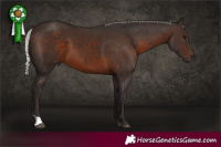 Horse Color:Silver Brown