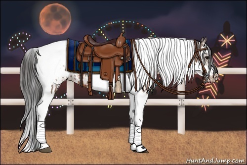 Horse Color:Bay Splash Tobiano Appaloosa  and Bay Splash Tobiano Frame Appaloosa 