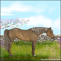 Horse Color:Chocolate Palomino Roan