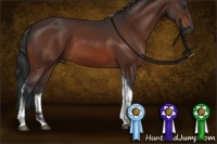 Horse Color:Bay Tobiano Rabicano