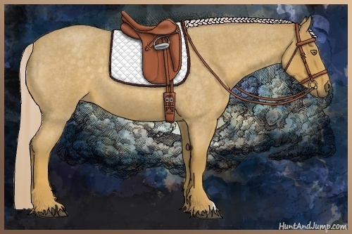 Horse Color:Palomino Roan 