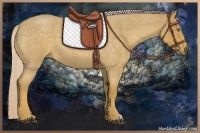 Horse Color:Palomino Roan 