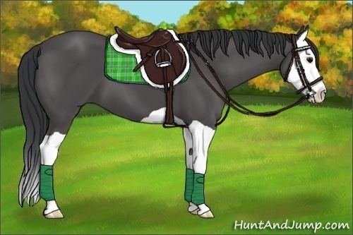 Horse Color:Black Splash