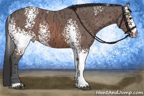 Horse Color:White Spotted Bay Ice 