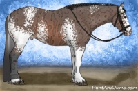 Horse Color:White Spotted Bay Ice 