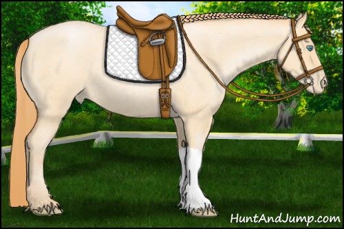 Horse Color:Buckskin Roan Pearl 