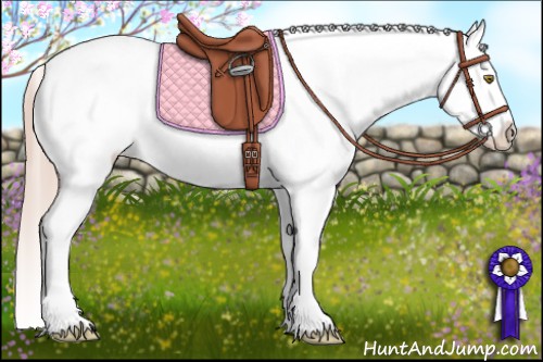 Horse Color:Palomino Roan Near Leopard 