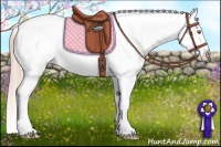 Horse Color:Palomino Roan Appaloosa