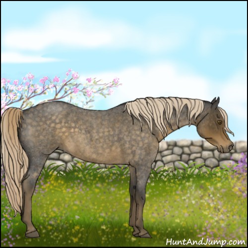 Horse Color:Chocolate Palomino Roan 