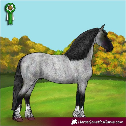 Horse Color:Midnight Blue Roan Sabino 