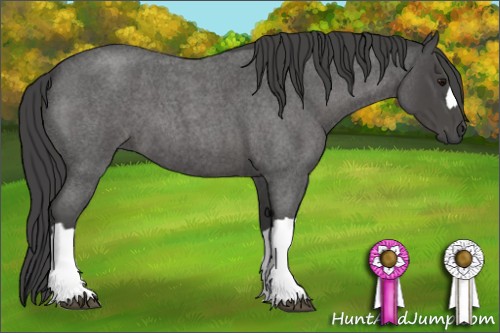 Horse Color:Smoky Blue Roan 