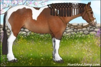 Horse Color:Buckskin Tobiano Rabicano