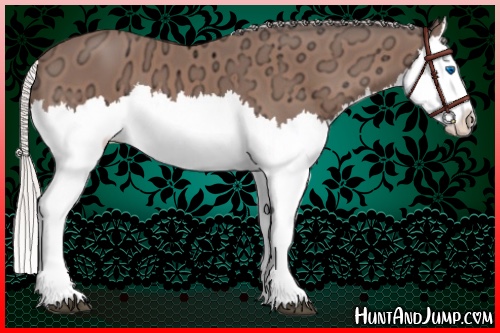 Horse Color:Silver Bay Ice Splash