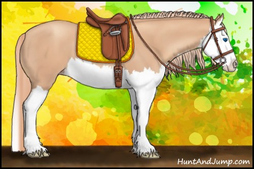 Horse Color:Gold Champagne Splash