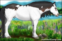 Horse Color:Brown Splash Frame 