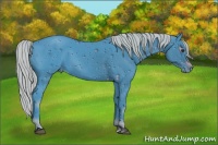 Horse Color:ERROR: UNKNOWN ANOMALY