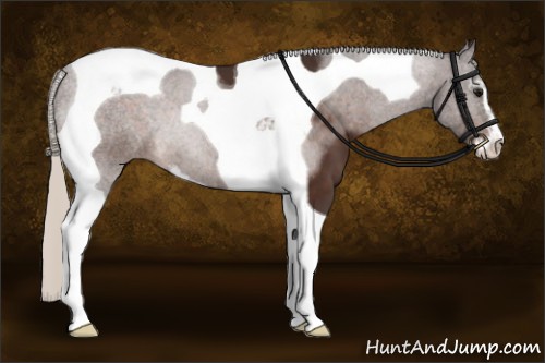 Horse Color:Silver Brown Sabino Tobiano